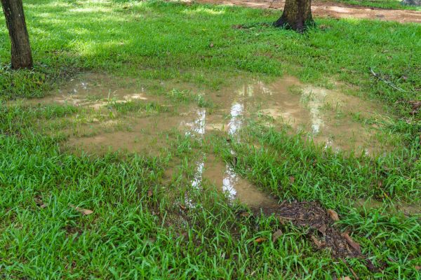 Storm Water Drainage Service in Owings Mills