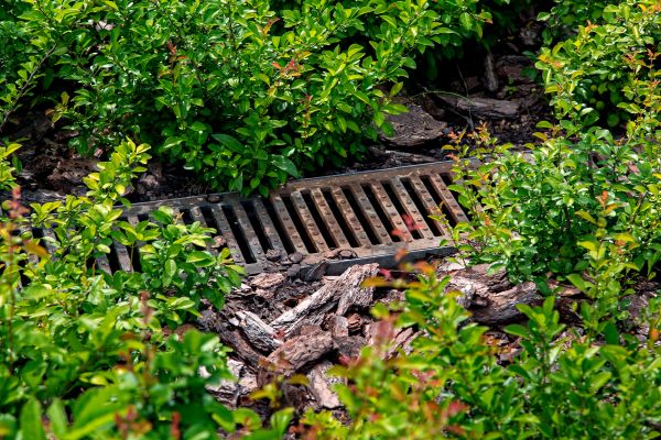 Underground Drainage Service in Owings Mills