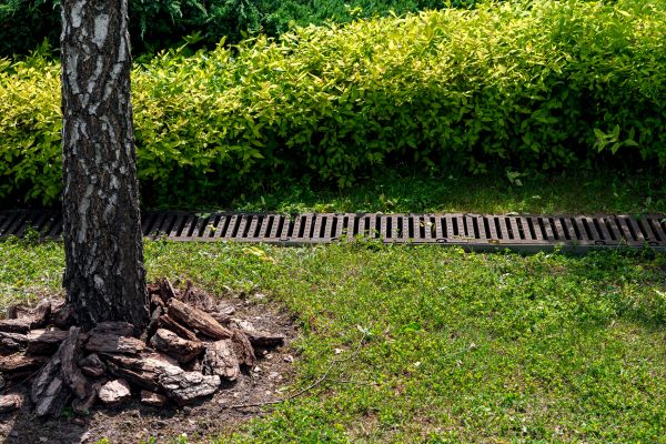 Garden Drainage Installation in Owings Mills